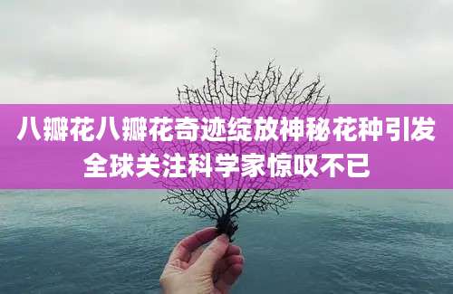 八瓣花八瓣花奇迹绽放神秘花种引发全球关注科学家惊叹不已