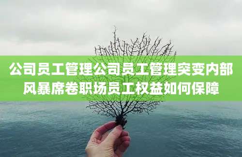 公司员工管理公司员工管理突变内部风暴席卷职场员工权益如何保障