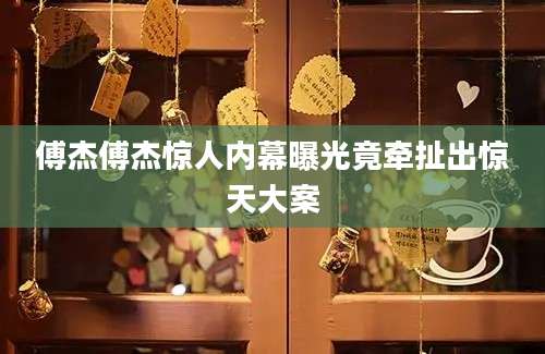 傅杰傅杰惊人内幕曝光竟牵扯出惊天大案