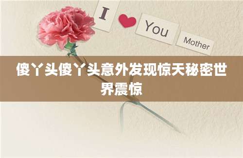 傻丫头傻丫头意外发现惊天秘密世界震惊