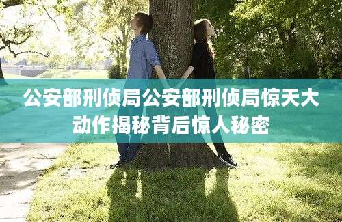 公安部刑侦局公安部刑侦局惊天大动作揭秘背后惊人秘密