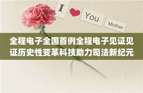 全程电子全国首例全程电子见证见证历史性变革科技助力司法新纪元