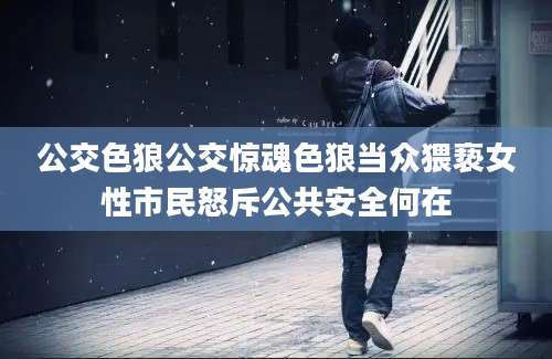 公交色狼公交惊魂色狼当众猥亵女性市民怒斥公共安全何在