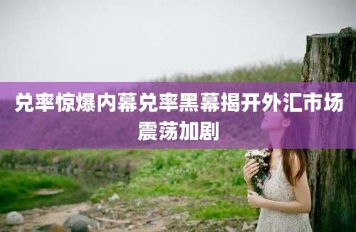 兑率惊爆内幕兑率黑幕揭开外汇市场震荡加剧