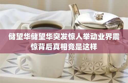 储望华储望华突发惊人举动业界震惊背后真相竟是这样