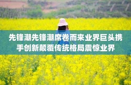 先锋潮先锋潮席卷而来业界巨头携手创新颠覆传统格局震惊业界