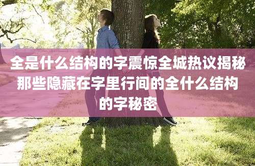 全是什么结构的字震惊全城热议揭秘那些隐藏在字里行间的全什么结构的字秘密