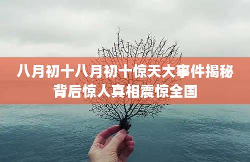八月初十八月初十惊天大事件揭秘背后惊人真相震惊全国