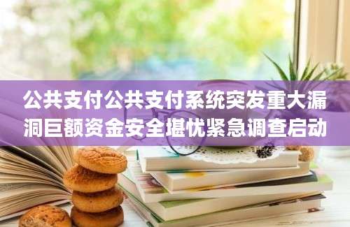 公共支付公共支付系统突发重大漏洞巨额资金安全堪忧紧急调查启动