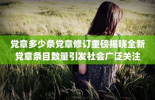 党章多少条党章修订重磅揭晓全新党章条目数量引发社会广泛关注