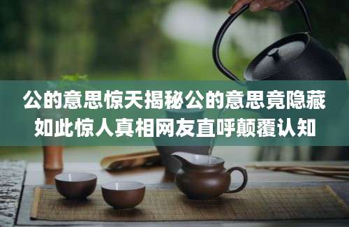 公的意思惊天揭秘公的意思竟隐藏如此惊人真相网友直呼颠覆认知