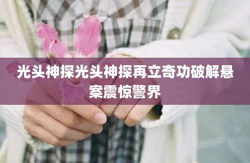 光头神探光头神探再立奇功破解悬案震惊警界