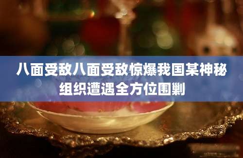 八面受敌八面受敌惊爆我国某神秘组织遭遇全方位围剿