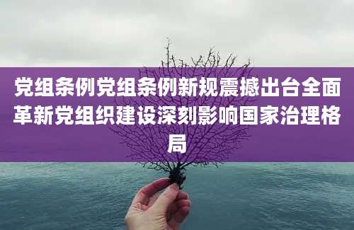 党组条例党组条例新规震撼出台全面革新党组织建设深刻影响国家治理格局