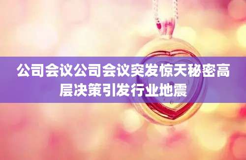 公司会议公司会议突发惊天秘密高层决策引发行业地震