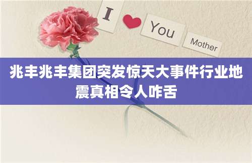 兆丰兆丰集团突发惊天大事件行业地震真相令人咋舌