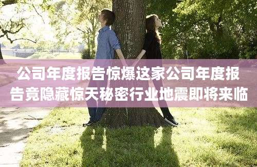 公司年度报告惊爆这家公司年度报告竟隐藏惊天秘密行业地震即将来临