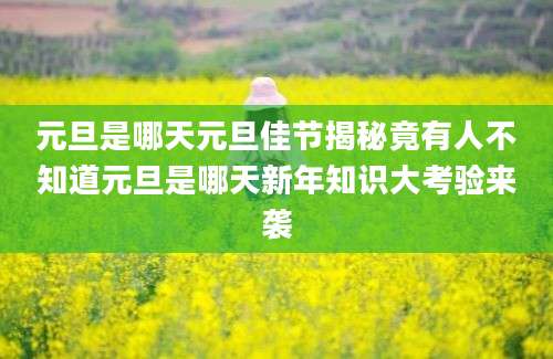 元旦是哪天元旦佳节揭秘竟有人不知道元旦是哪天新年知识大考验来袭