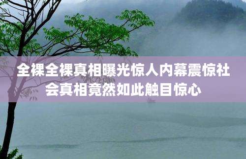 全裸全裸真相曝光惊人内幕震惊社会真相竟然如此触目惊心