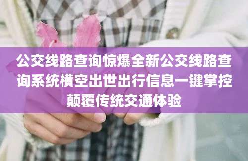 公交线路查询惊爆全新公交线路查询系统横空出世出行信息一键掌控颠覆传统交通体验