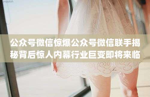 公众号微信惊爆公众号微信联手揭秘背后惊人内幕行业巨变即将来临