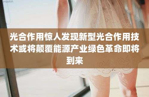 光合作用惊人发现新型光合作用技术或将颠覆能源产业绿色革命即将到来