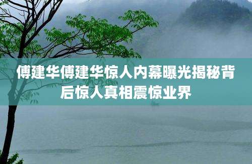 傅建华傅建华惊人内幕曝光揭秘背后惊人真相震惊业界