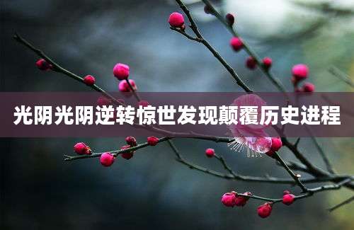 光阴光阴逆转惊世发现颠覆历史进程
