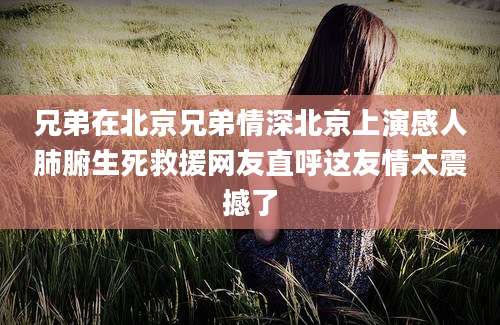 兄弟在北京兄弟情深北京上演感人肺腑生死救援网友直呼这友情太震撼了