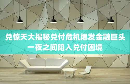 兑惊天大揭秘兑付危机爆发金融巨头一夜之间陷入兑付困境