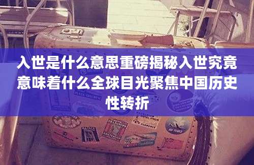 入世是什么意思重磅揭秘入世究竟意味着什么全球目光聚焦中国历史性转折