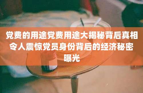 党费的用途党费用途大揭秘背后真相令人震惊党员身份背后的经济秘密曝光