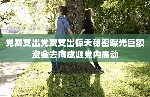 党费支出党费支出惊天秘密曝光巨额资金去向成谜党内震动