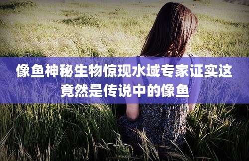 像鱼神秘生物惊现水域专家证实这竟然是传说中的像鱼