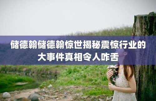 储德翰储德翰惊世揭秘震惊行业的大事件真相令人咋舌