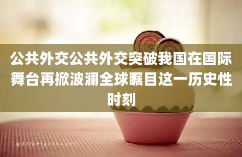 公共外交公共外交突破我国在国际舞台再掀波澜全球瞩目这一历史性时刻