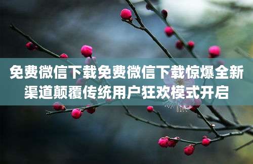免费微信下载免费微信下载惊爆全新渠道颠覆传统用户狂欢模式开启