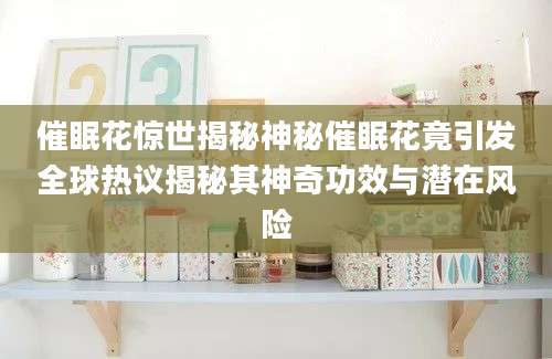 催眠花惊世揭秘神秘催眠花竟引发全球热议揭秘其神奇功效与潜在风险