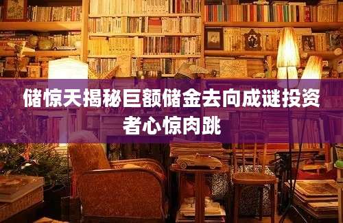 储惊天揭秘巨额储金去向成谜投资者心惊肉跳