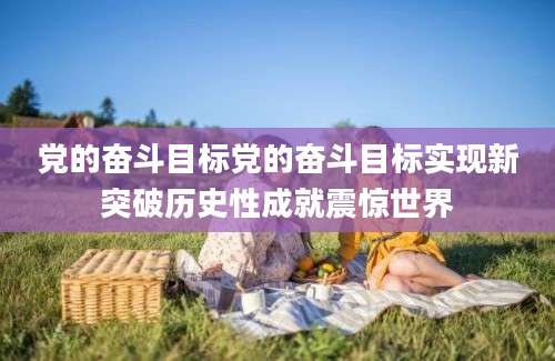 党的奋斗目标党的奋斗目标实现新突破历史性成就震惊世界