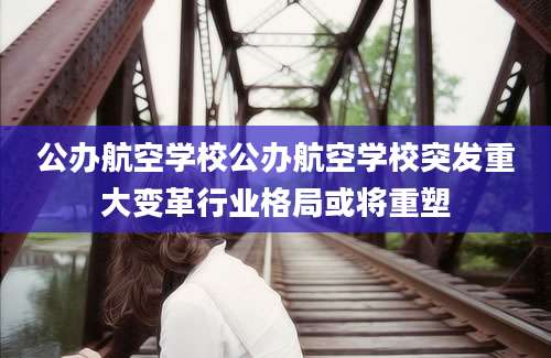 公办航空学校公办航空学校突发重大变革行业格局或将重塑