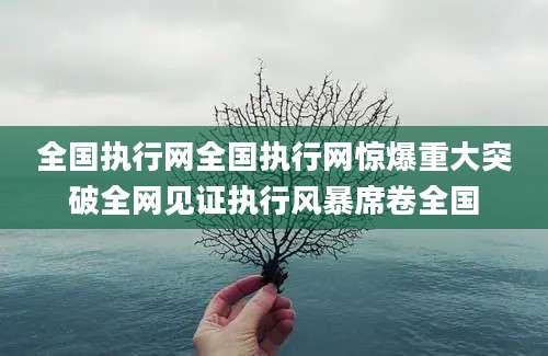 全国执行网全国执行网惊爆重大突破全网见证执行风暴席卷全国