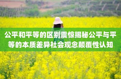 公平和平等的区别震惊揭秘公平与平等的本质差异社会观念颠覆性认知