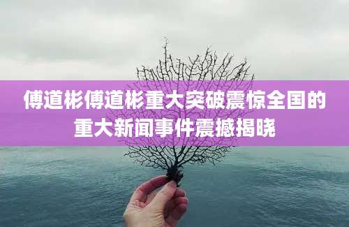 傅道彬傅道彬重大突破震惊全国的重大新闻事件震撼揭晓