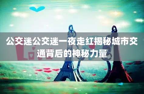 公交迷公交迷一夜走红揭秘城市交通背后的神秘力量