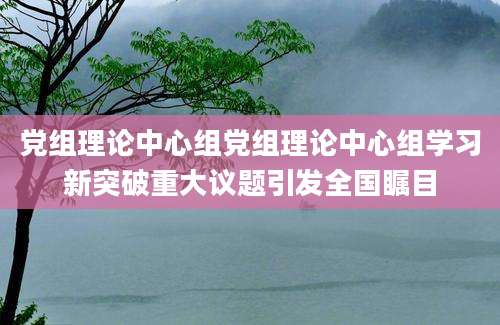 党组理论中心组党组理论中心组学习新突破重大议题引发全国瞩目