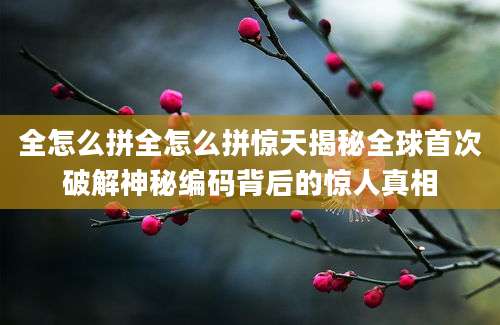 全怎么拼全怎么拼惊天揭秘全球首次破解神秘编码背后的惊人真相
