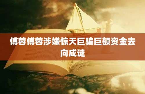 傅蓉傅蓉涉嫌惊天巨骗巨额资金去向成谜