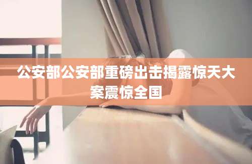 公安部公安部重磅出击揭露惊天大案震惊全国