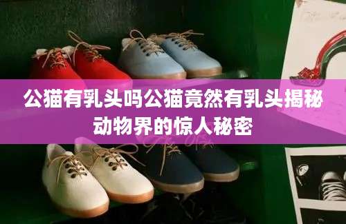 公猫有乳头吗公猫竟然有乳头揭秘动物界的惊人秘密
